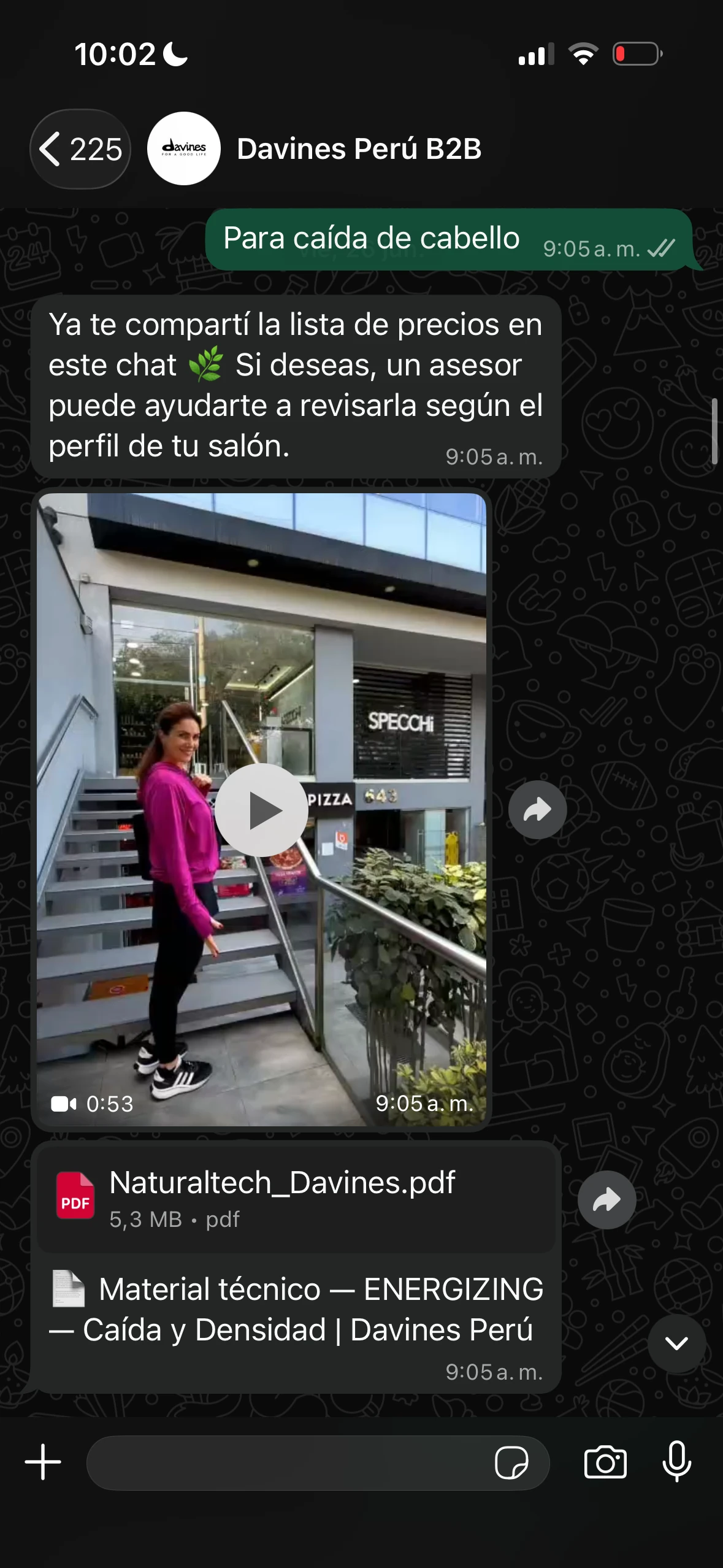 Conversación de WhatsApp: el agente envía un video de la marca y el PDF técnico de la línea ENERGIZING para caída de cabello